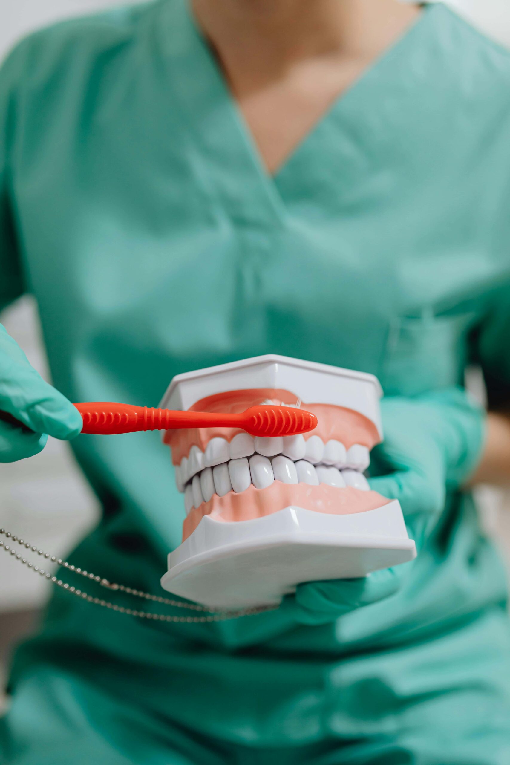 orthodontist showing teeth